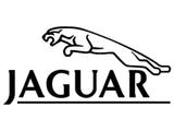 Купить автотовары Jaguar в Украине