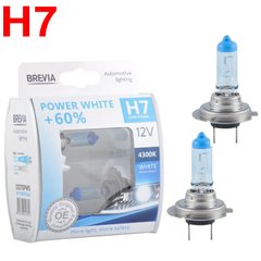 Купить Автолампа галогенная Brevia Power White +60% H7 12V 55W 4300K 1 шт (12070PWS) 57739 Галогеновые лампы Brevia