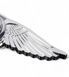 Buy Emblem sight Kia eagle wings metal Chrome 215x70x72 mm on tape 88689 Emblems Sights - 3 photos from 4