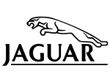 Килимки для Jaguar, Автомобільні килимки в салон і багажник, Автотовари