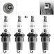 Buy Spark plug Brisk Gold FR15YC.4B Gap 0.8 mm Key 21 (Ford Gas) (1367 Blister) 84803 Spark plugs