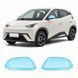 Buy Pre-cut paint protection film for BYD Seagull (Dolphin Surf) I 2023- mirrors 103169 Model-specific paint protection film patterns for BYD