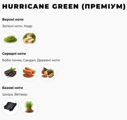 Купить Ароматизатор автомобильный Hurricane Green Premium (В комплекте Спрей 10 мл) 67012 Ароматизаторы Hurricane Premium
