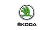 Килимки для Skoda, Автомобільні килимки в салон і багажник, Автотовари
