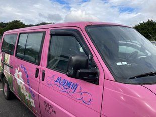 Купити Дефлектори вікон вітровики для Volkswagen T4 1990-2003 (на скотчі) 35580 Дефлектори вікон Volkswagen
